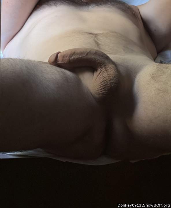 Adult image from Donkey0913