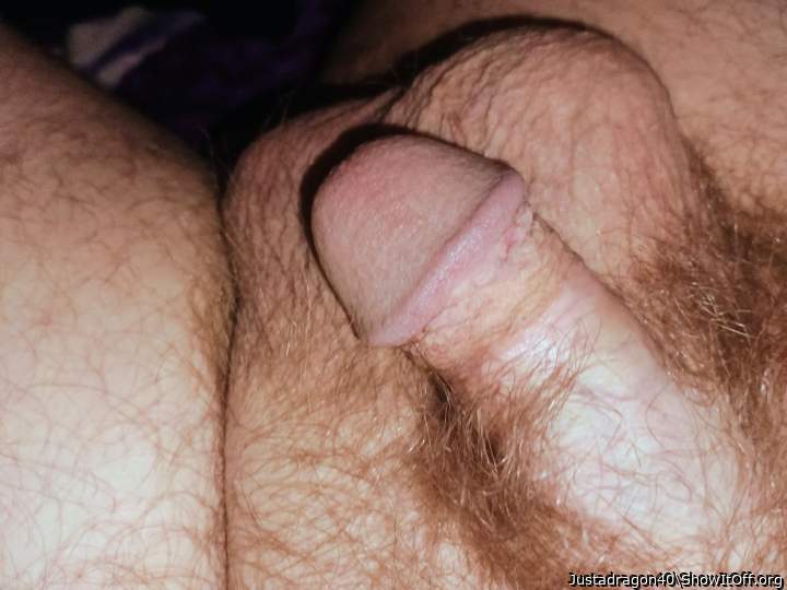 Adult image from Justadragon40