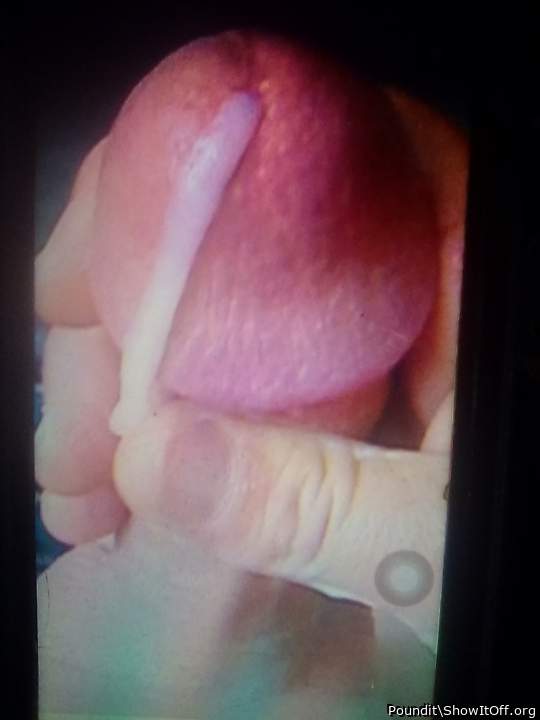 Adult image from Poundit