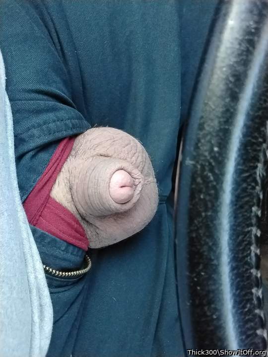 Adult image from Thick300