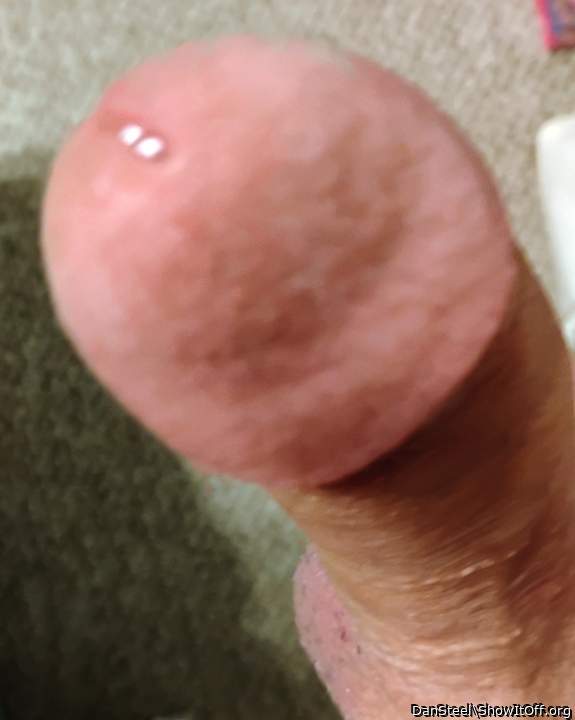 Adult image from DanSteel