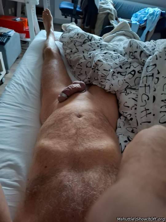 Adult image from Mshuttle