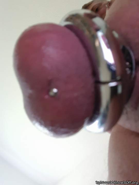 Adult image from Splittcock