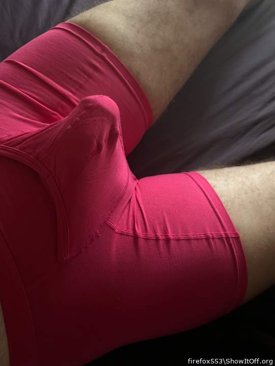 A beautiful bulge 