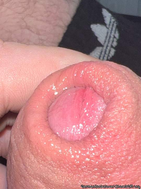 Adult image from GermanSockslover