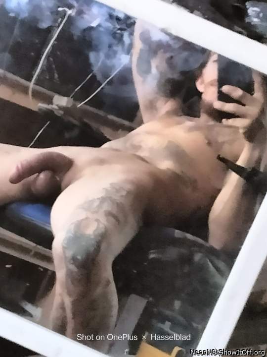 Adult image from NeonN8