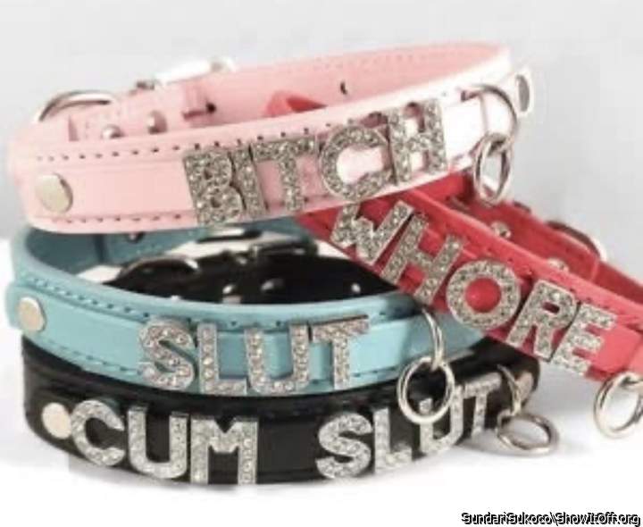 Which Dog Collar do you think I should wear?  You have my Le