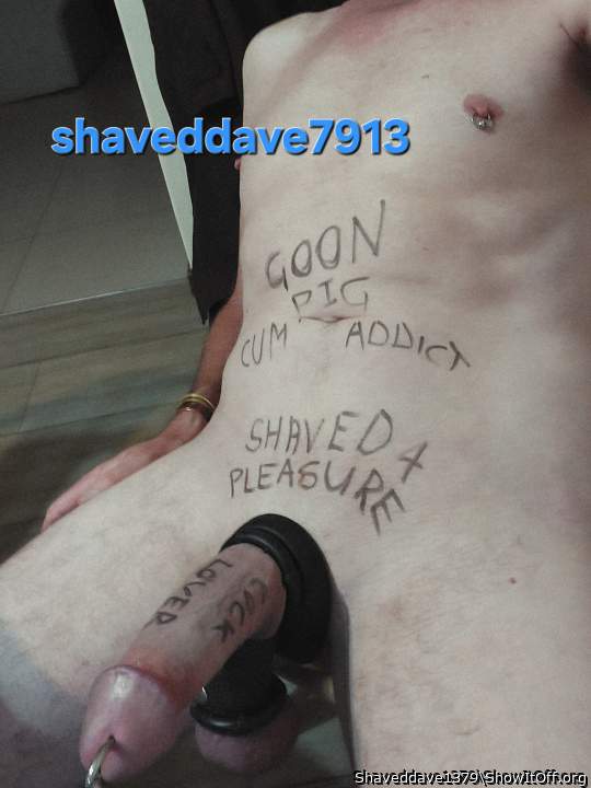 Adult image from Shaveddave1379