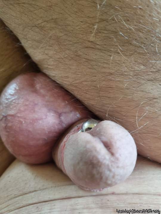 Nice cock and balls   