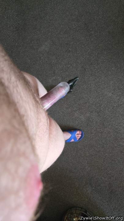 Adult image from Zywie