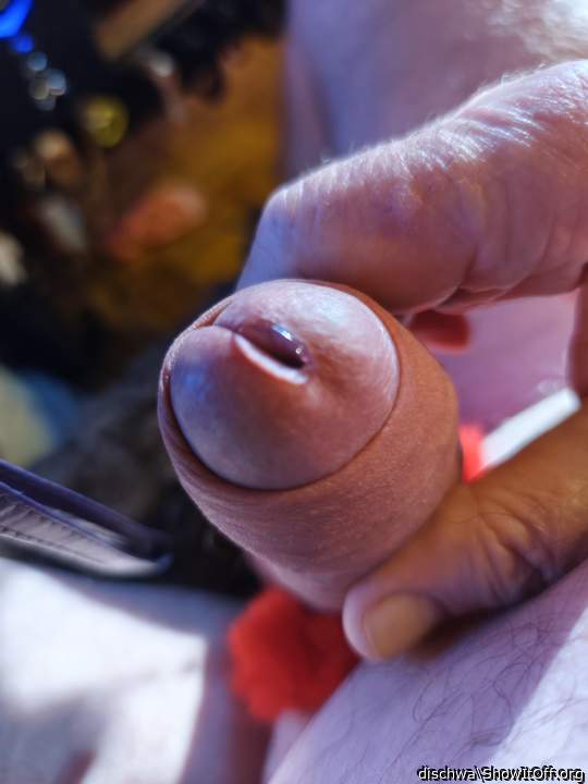Adult image from dischwa