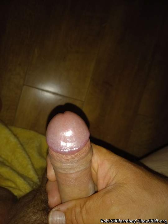 Adult image from Rob1988farmboy