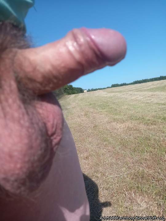 Adult image from Rob1988farmboy