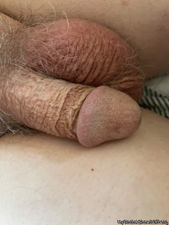 WOW ! I want to suck this cock.