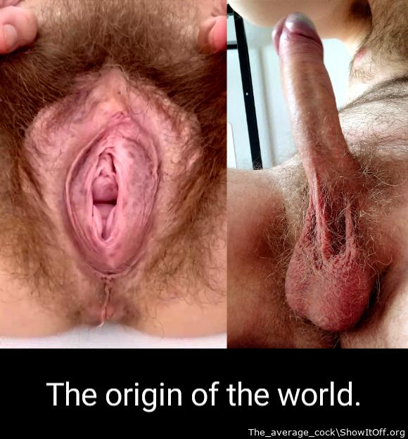 The origin of the world.  https://x.com/average_cock_