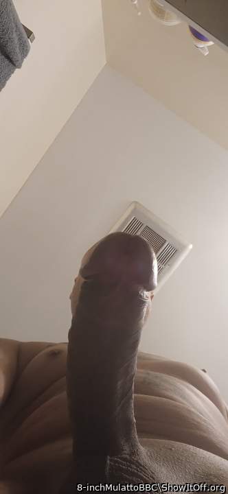 Adult image from 8-inchMulattoBBC