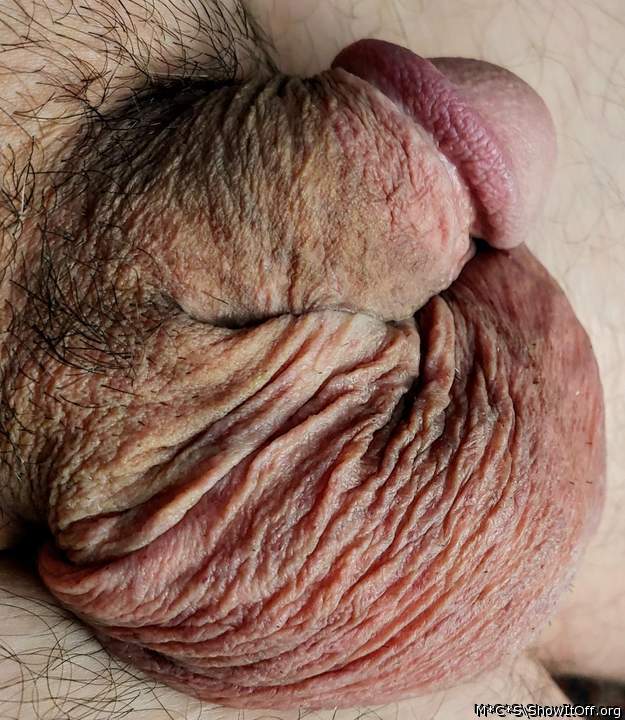 Nice soft cock and balls