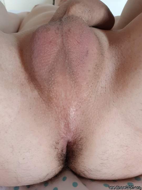 Delicious balls and cock!      