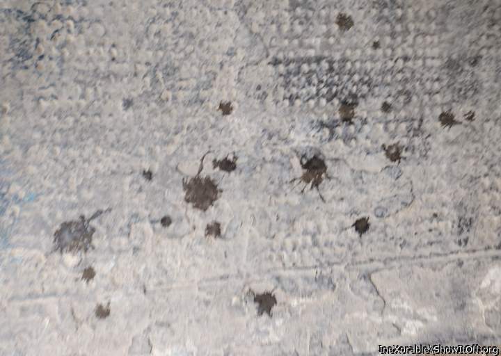 Sperm on the ground after a shameless masturbation in front of lady on a parking
