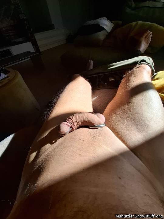 Adult image from Mshuttle