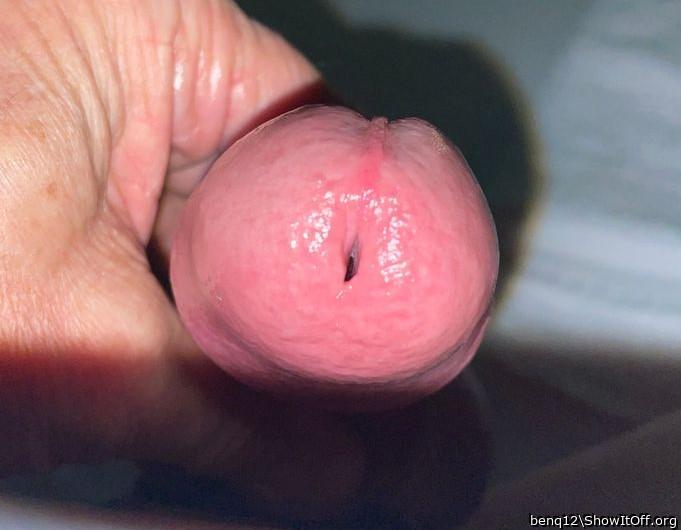 Adult image from benq12