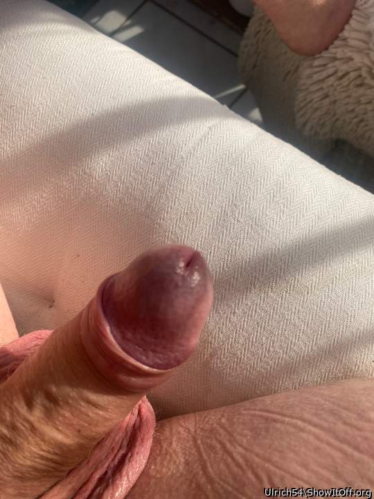 Adult image from Ulrich54