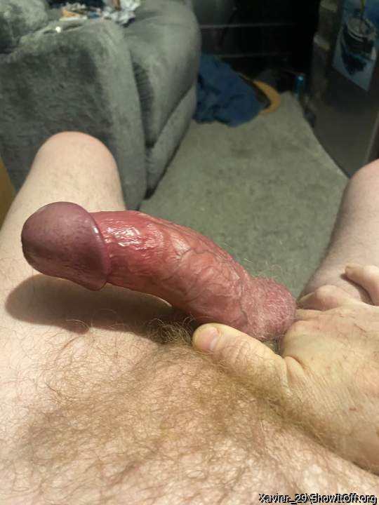 Adult image from Xavier_29