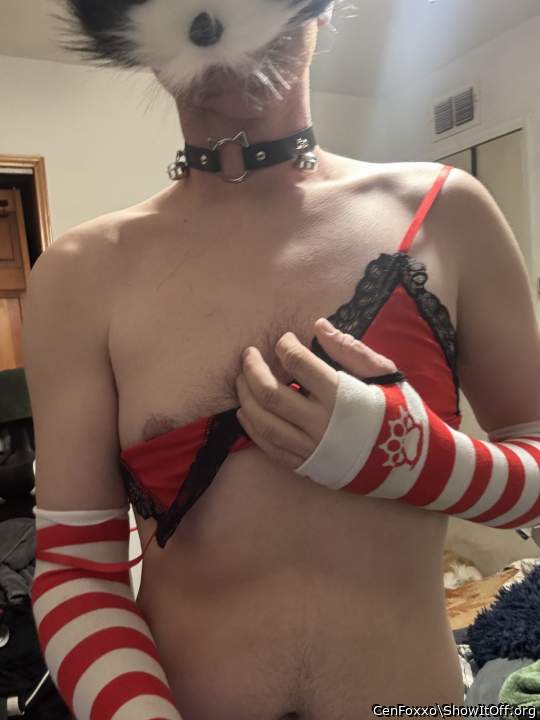 Adult image from CenFoxxo