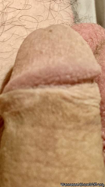 Adult image from Wannasee