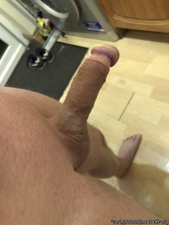 Adult image from Gordy30003