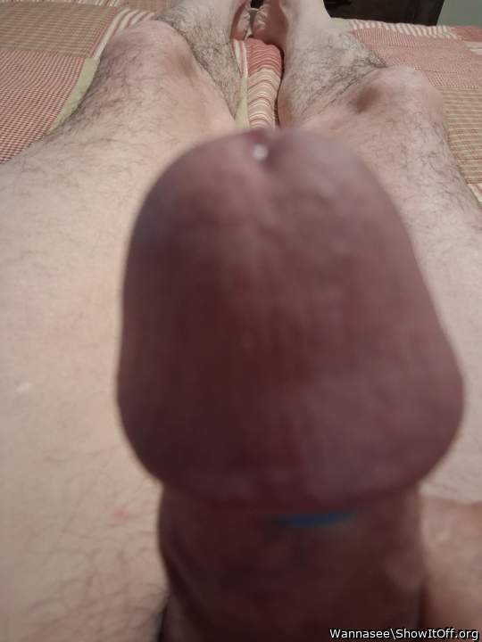 Adult image from Wannasee