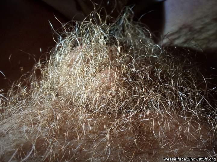 Adult image from weaselface