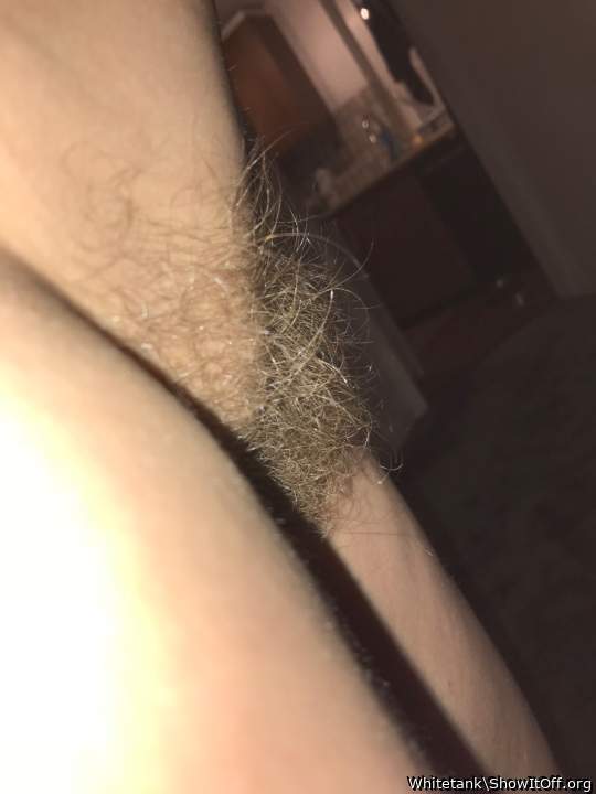 Adult image from Whitetank