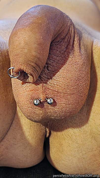 Beautiful uncut pierced cock