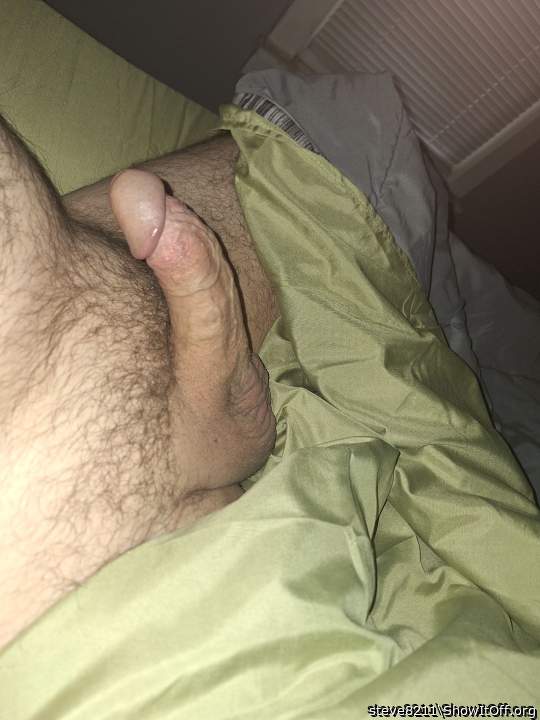 Adult image from steve8211