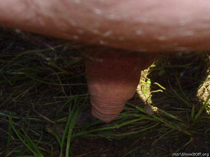 Adult image from mzr