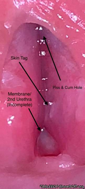 Inside my Cock - Diagram