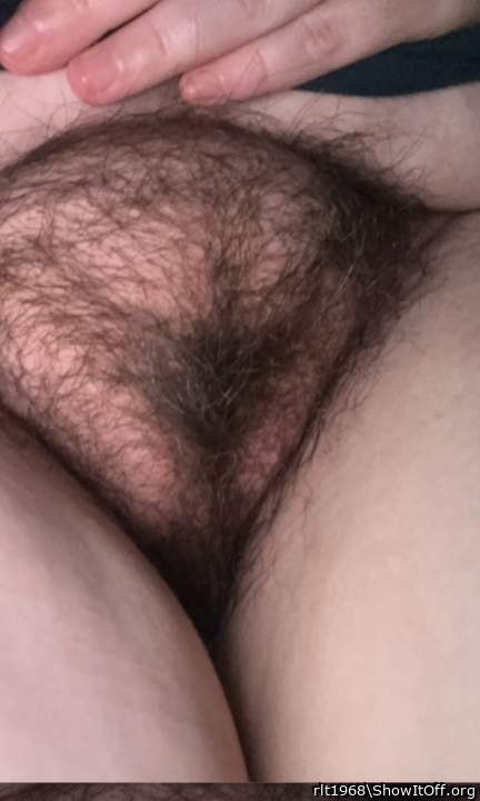 Lovely hairy pussy