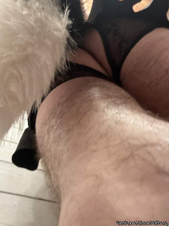 Adult image from CenFoxxo