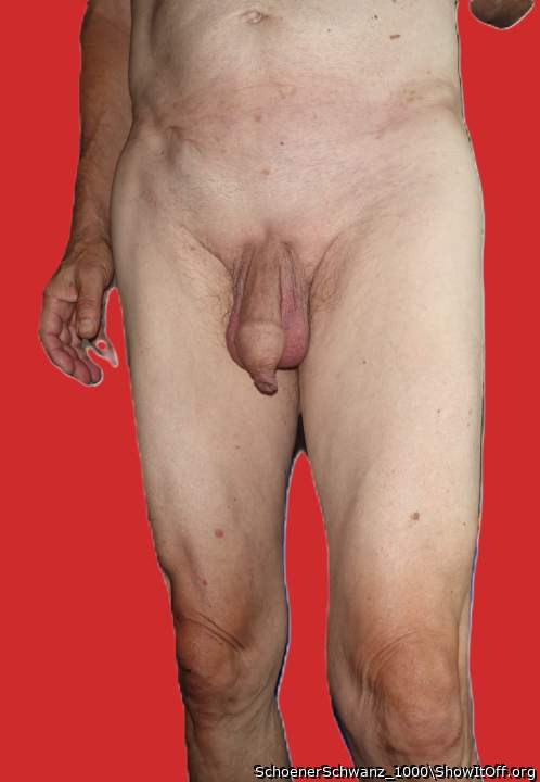 Adult image from SchoenerSchwanz_1000