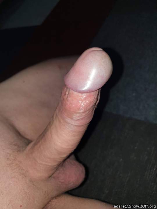 Pięknie lśniąca żołądź. T