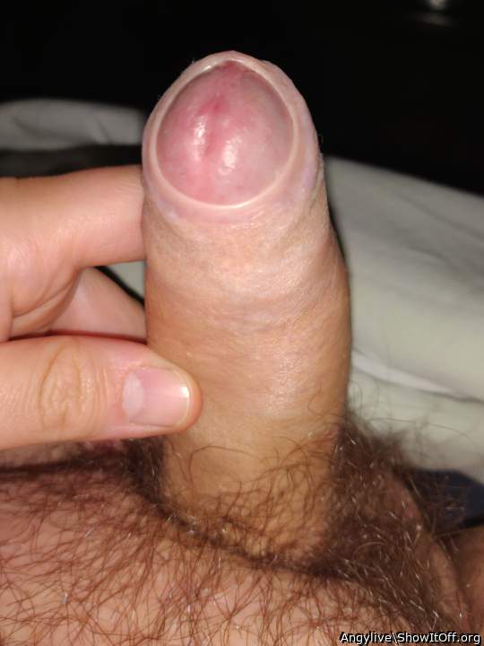 Adult image from Angylive