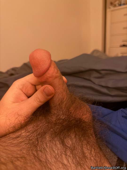 Adult image from Bartlett