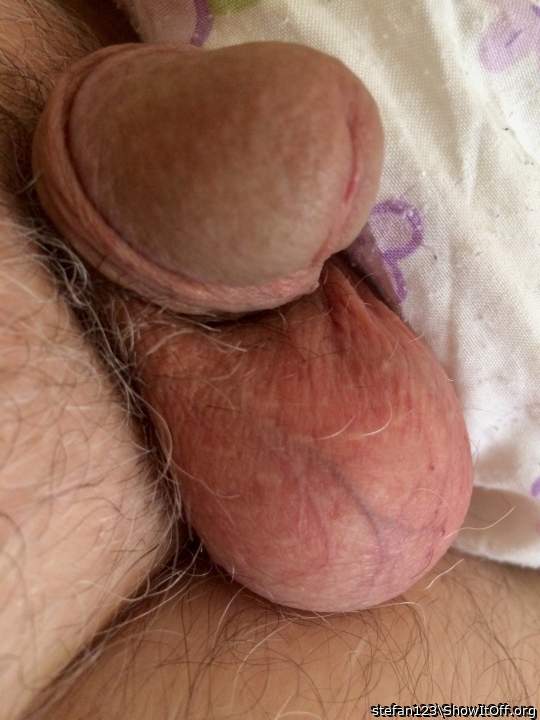 Nice cock and balls   