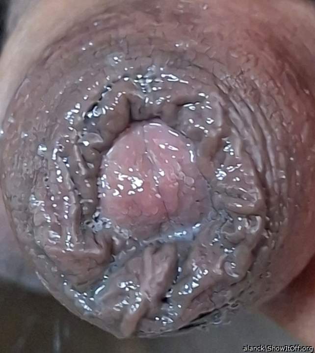 Adult image from alanck