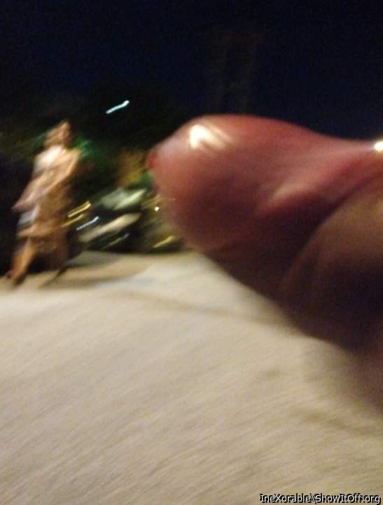 Flashing cock to the women on the streets!