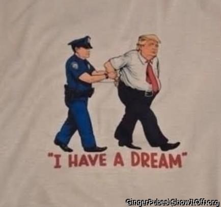 Adult image from GingerPubes