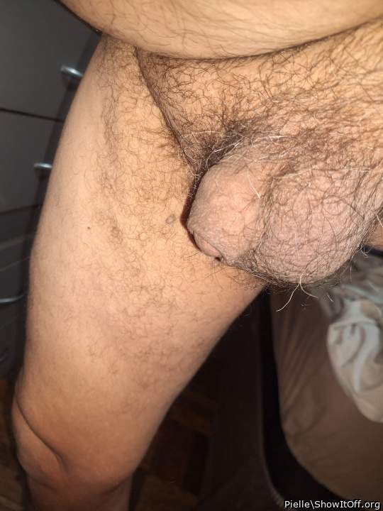 Adult image from Pielle