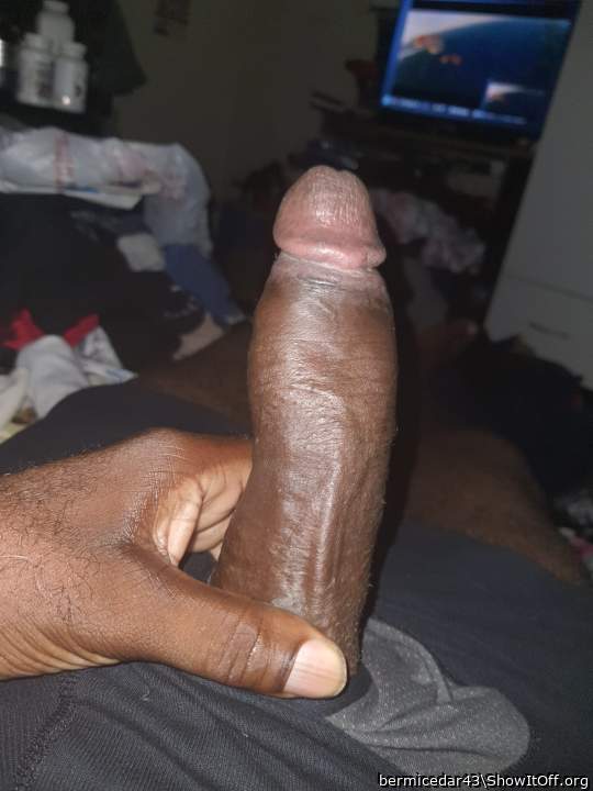 Morning Wood