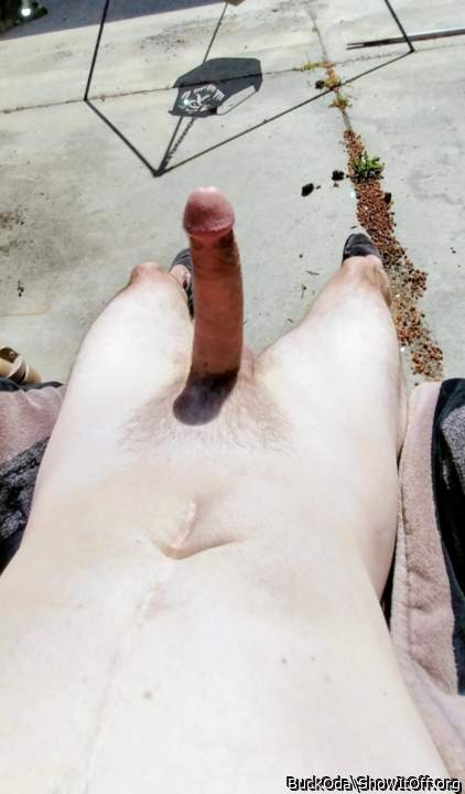 Adult image from BuckOda